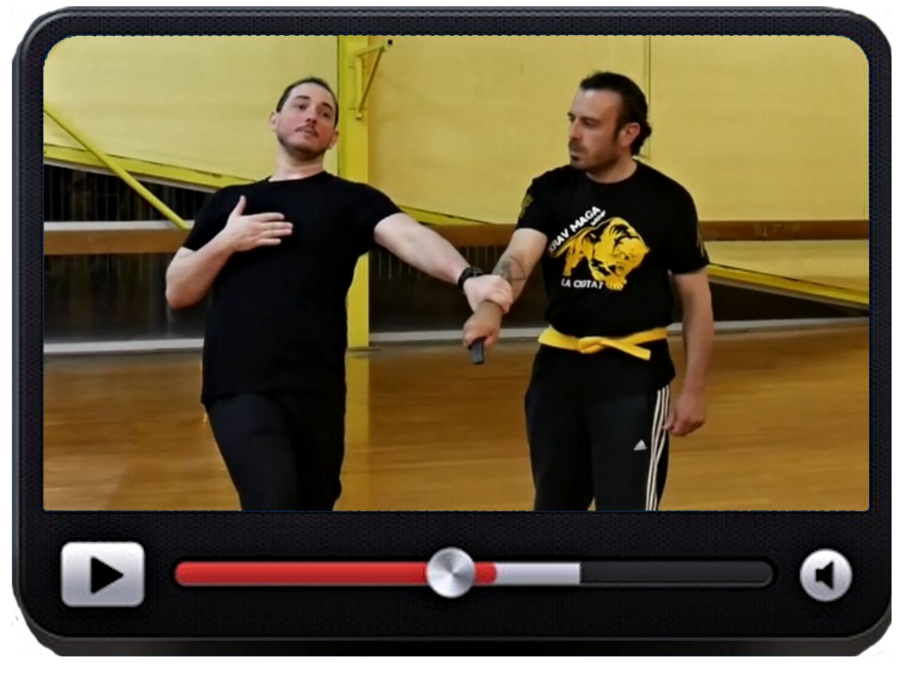 Objectif Black Belt Krav Maga Cours 15